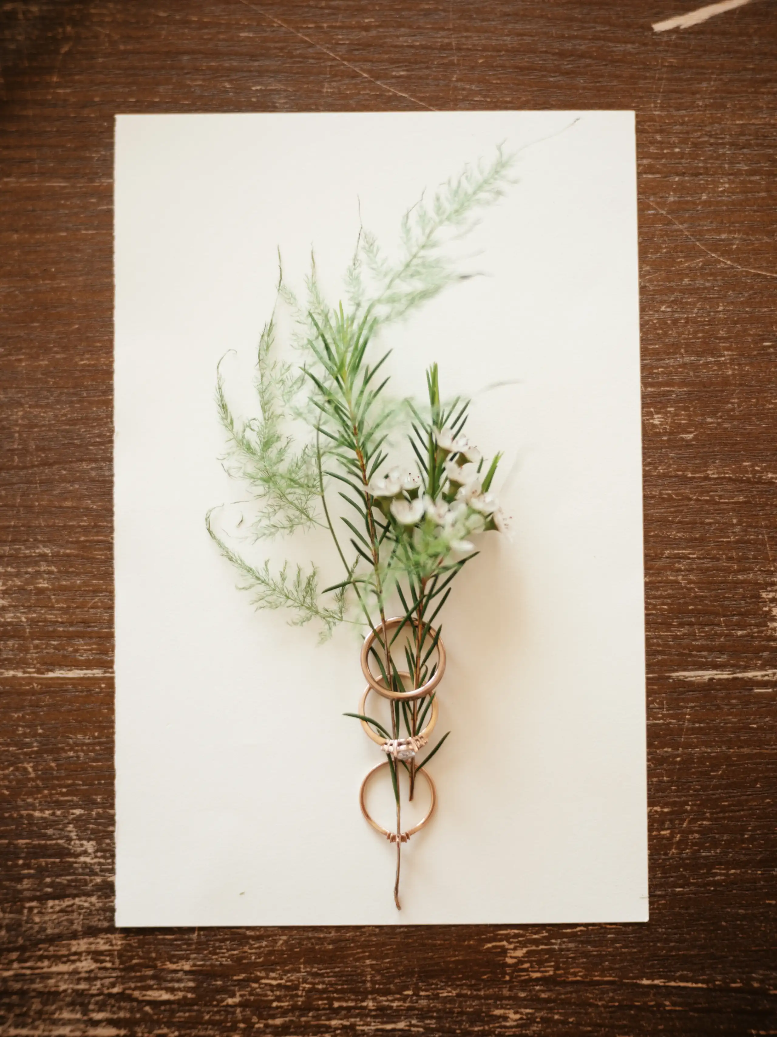 Oak Island wedding photo 25