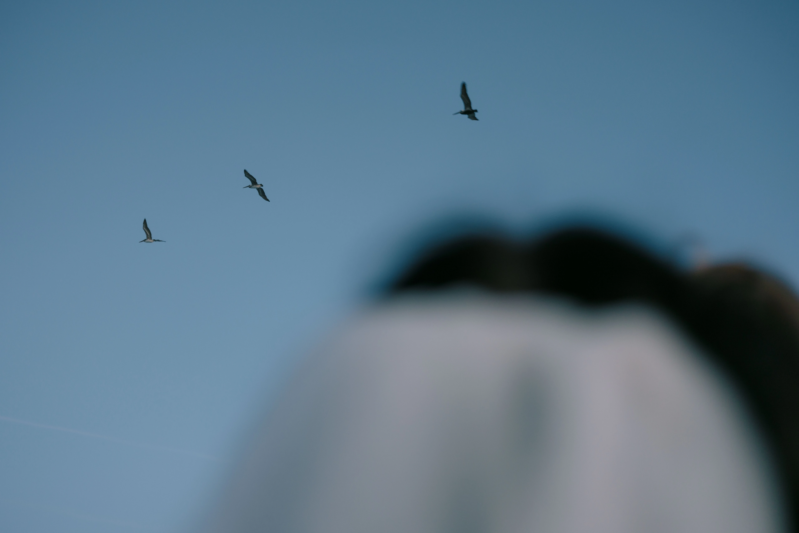 Winter Wedding in Topsail Beach wedding photo 88